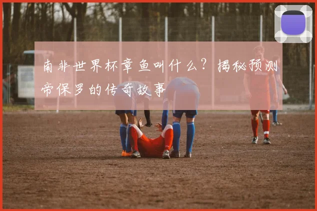 南非世界杯章鱼叫什么？揭秘预测帝保罗的传奇故事