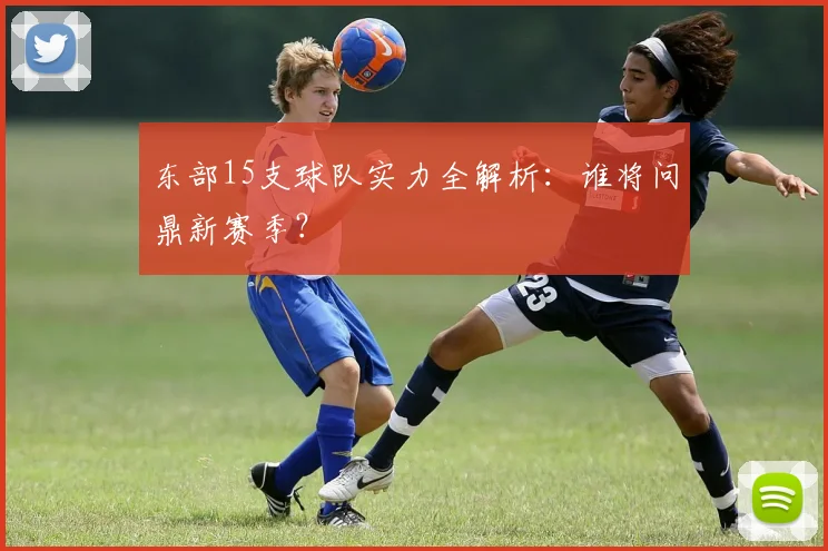 东部15支球队实力全解析：谁将问鼎新赛季？