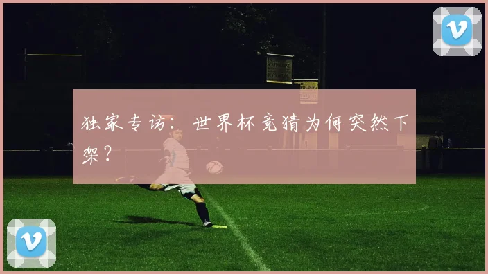 独家专访：世界杯竞猜为何突然下架？