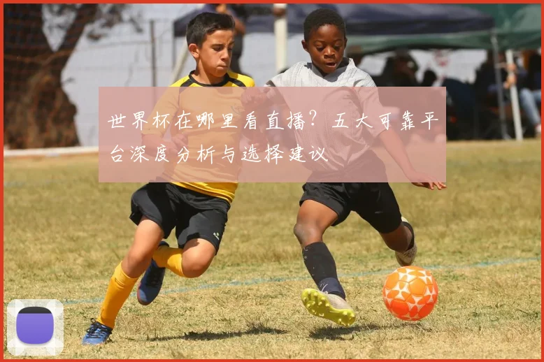 世界杯在哪里看直播?五大可靠平台深度分析与选择建议