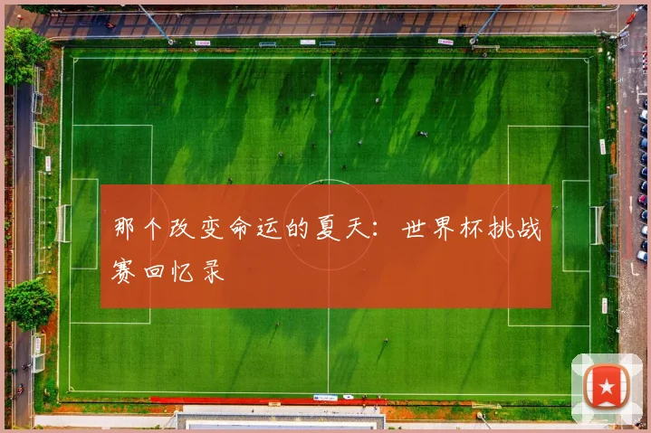 那个改变命运的夏天:世界杯挑战赛回忆录