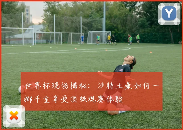 世界杯现场揭秘:沙特土豪如何一掷千金享受顶级观赛体验