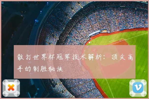 散打世界杯冠军技术解析：顶尖高手的制胜秘诀