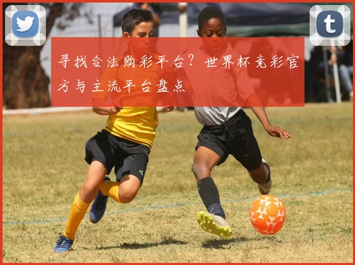 寻找合法购彩平台？世界杯竞彩官方与主流平台盘点