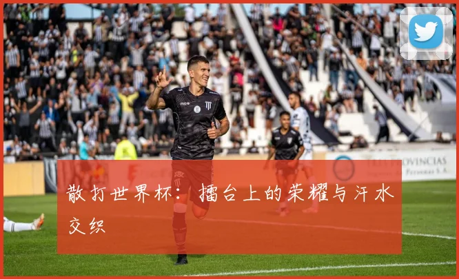 散打世界杯：擂台上的荣耀与汗水交织