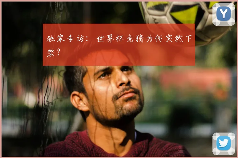 独家专访:世界杯竞猜为何突然下架?