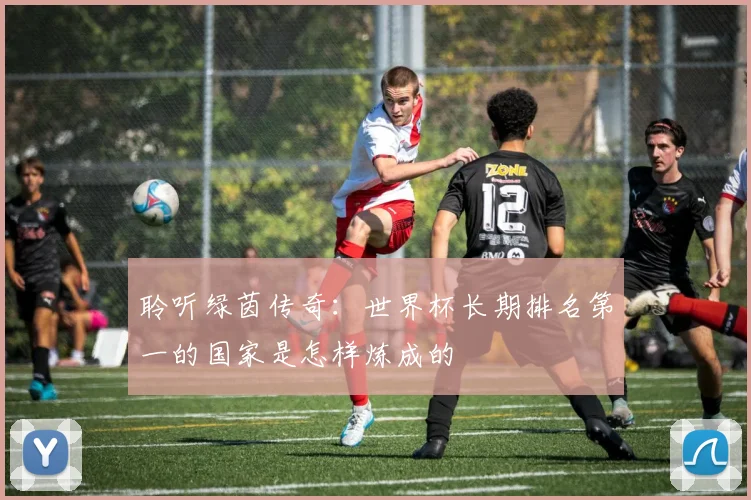聆听绿茵传奇:世界杯长期排名第一的国家是怎样炼成的