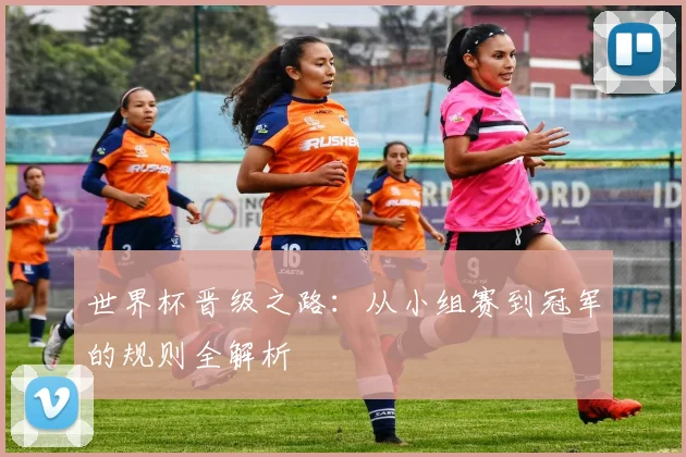 世界杯晋级之路：从小组赛到冠军的规则全解析