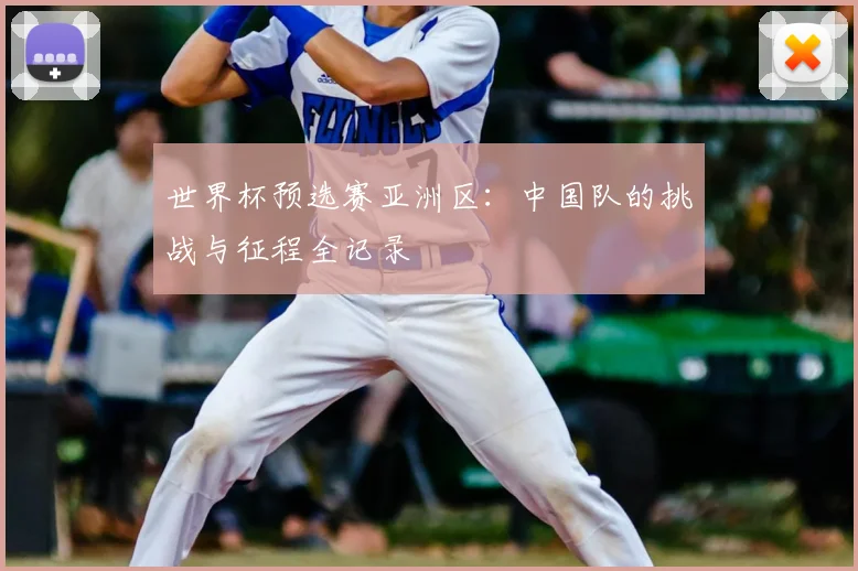 世界杯预选赛亚洲区：中国队的挑战与征程全记录